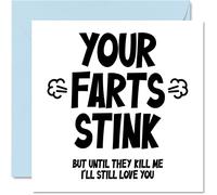 Funny Birthday Card for Him - Your Farts Stink - Anniversary Card for Boyfriend Partner Fiance, 145mm Greeting Cards, Birthday Valentines Husband from Wife Girlfriend