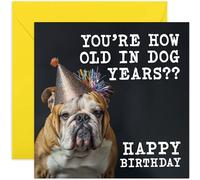 Funny Birthday Card for Men and Women - 'How Old In Dog Years' British Bulldog Birthday Card for Him or Her - Hilarious Birthday Gift for Dad Mum Brother Sister - 40th, 50th, 60th, 70th, 80th