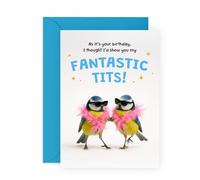 Funny Birthday Card for Men - Fantastic T*ts - Gifts for Husband, Fiance, Boyfriend, Guys, Boys, Babe, Darling, Babe, Hun, Him - Blue Bird Pun - Comes with Fun Stickers