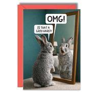Funny Birthday Card For Men Grey Hare Ageing Joke Card OMG Mirror Pun For Dad Husband Brother Friend Him Older Birthday Humour
