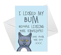 Funny Birthday Card From The Cat Pet Animal Cat Bum Rude Funny Joke Card