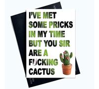Funny Birthday Card Funny Friend Card Humour Cards Rude Cards Cactus Colleague Coworker Birthday Card Banter Joke Met Some Pricks PC607