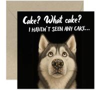 Funny Birthday Card - 'Haven’t Seen Any Cake' Siberian Huskey Dog Joke Design - Sarcastic Whitty Humorous Gift for Men or Women - Blank Inside with Envelope
