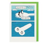 Funny Birthday Card Penguin Iceberg Seagull Joke - Rude Greeting Card