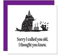 Funny Birthday Card - Sorry I called you old - Black Cat design
