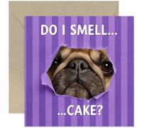 Funny Birthday Cards for Him or Her, Dog BDay Gift for Mum Dad, 'Do I Smell Cake', Husband Wife Brother Sister, Blank Inside with Envelope
