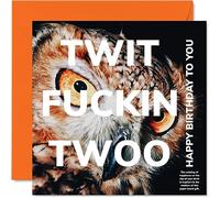 Funny Birthday Cards for Men Women - Twit Twoo Owl - Rude Joke Happy Birthday Card for Mum Dad Brother Sister Son Daughter Nan Grandad, 145mm Banter Humour Bday Greeting Cards