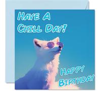 Funny Birthday Cards For Women and Men, Cool Arctic Fox Sunglasses