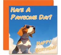 Funny Birthday Cards For Women Men - Cool Beagle Sunglasses - Happy Birthday Card for Mum Dad Brother Sister Uncle Auntie Cousin Grandad Nanny Friend 145mm x 145mm Joke Pun Greeting Cards