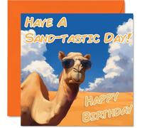Funny Birthday Cards For Women and Men, Cool Camel Sunglasses