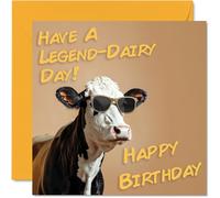 Funny Birthday Cards For Women Men - Cool Cow Sunglasses - Happy Birthday Card for Mum Dad Brother Sister Uncle Auntie Cousin Grandad Nanny Friend 145mm x 145mm Joke Pun Greeting Cards