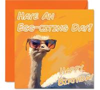 Funny Birthday Cards For Women and Men, Cool Ostrich Sunglasses | Happy Birthday Card for Mum or Dad Brother Sister Uncle Auntie Cousin Grandad Nanny Friend 145mm x 145mm Joke Pun Greeting