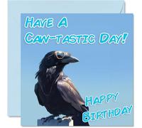 Funny Birthday Cards For Women Men - Cool Crow Sunglasses - Happy Birthday Card for Mum Dad Brother Sister Uncle Auntie Cousin Grandad Nanny Friend 145mm x 145mm Joke Pun Greeting Cards