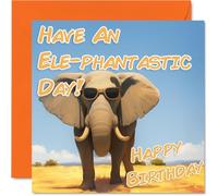 Funny Birthday Cards For Women Men - Cool Elephant Sunglasses - Happy Birthday Card for Mum Dad Brother Sister Uncle Auntie Cousin Grandad Nanny Friend 145mm x 145mm Joke Pun Greeting Cards