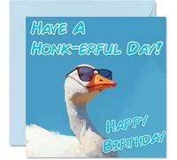 Funny Birthday Cards For Women Men - Cool Goose Sunglasses - Happy Birthday Card for Mum Dad Brother Sister Uncle Auntie Cousin Grandad Nanny Friend 145mm x 145mm Joke Pun Greeting Cards
