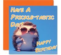 Funny Birthday Cards For Women Men - Cool Hedgehog Sunglasses - Happy Birthday Card for Mum Dad Brother Sister Uncle Auntie Cousin Grandad Nanny Friend 145mm x 145mm Joke Pun Greeting Cards