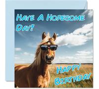 Funny Birthday Cards For Women Men - Cool Horse Sunglasses - Happy Birthday Card for Mum Dad Brother Sister Uncle Auntie Cousin Grandad Nanny Friend 145mm x 145mm Joke Pun Greeting Cards