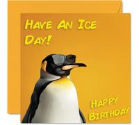 Funny Birthday Cards For Women Men - Cool Penguin Sunglasses - Happy Birthday Card for Mum Dad Brother Sister Uncle Auntie Cousin Grandad Nanny Friend 145mm x 145mm Joke Pun Greeting Cards