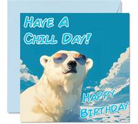 Funny Birthday Cards For Women Men - Cool Polar Bear Sunglasses - Happy Birthday Card for Mum Dad Brother Sister Uncle Auntie Cousin Grandad Nanny Friend 145mm x 145mm Joke Pun Greeting Cards