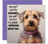 Funny Birthday Cards for Women Men - The Cake Thief - Happy Birthday Card for Mum Dad Brother Sister Son Daughter Nan Grandad Auntie Uncle, 145mm Joke Humour Bday Greeting Cards