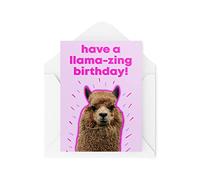 Funny Birthday Cards | Have A Llama-zing Birthday Card | Hilarious Greeting Card for Him Her | Humour Laughter Banter Joke Fun | CBH191