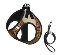 Funny Book Shelves Collection And Ladder Print Pet Vest Harnesses Leash Set Reflective Puppy Vest Dogs Walking Training Dog Harness