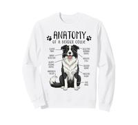 Funny Border Collie Anatomy Dog Lover Border Collie Owner Sweatshirt