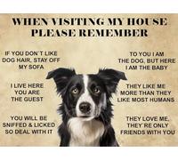 Funny Border Collie Sheep Dog Pet Dog House Home Rules Metal Wall Sith 20x15cm High Gloss
