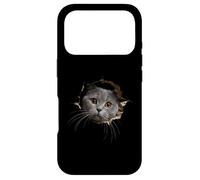 Funny British Shorthair Cat Art Gray Cat Peeking Pet Humor Case for iPhone 17 Pro