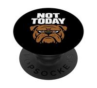 Funny Bulldog Grumpy Dog Antisocial Dont Talk To Me PopSockets Adhesive PopGrip