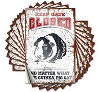 Funny Bumper Sticker Keep Gate Closed No Matter What The Guinea Pig Say Funny Sticker 10 Pcs Stickers for Car Brand Stickers(12X18CM)