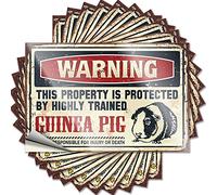 Funny Bumper Sticker Warning This Property is Protected by A Highly Trained Guinea Pig Funny Sticker 10 Pcs Car Stickers for Men No Stupid People Sign(6X9CM)