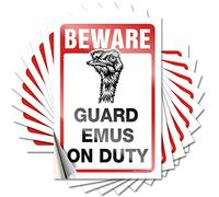 Funny Bumper Stickers Beware! Guard Bearded Dragons On Duty Funny Sticker 10 Pcs Funny Street Signs Toolbox Stickers and Decals(12X18CM)