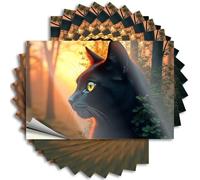 Funny Bumper Stickers Black Cat in The Sunset Forest Stickers 10Pcs Car Stickers for Women Funny Stickers for Cars(6X9CM)