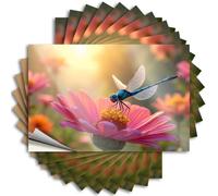 Funny Bumper Stickers Dancing Dragonfly On A Pink Flower Stickers 10Pcs Car Stickers for Women Funny Stickers for Cars(12X18CM)