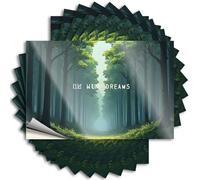 Funny Bumper Stickers for Adults Chasing Dreams Through The Enchanted Forest Stickers 10Pcs Black and White Stickers Funny Home Bar Signs(12X18CM)