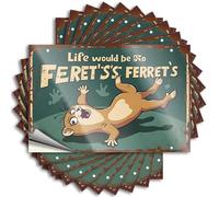 Funny Bumper Stickers for Adults Ferret Falling: A Humorous Take On Life's Challenges Stickers 10Pcs Signs for Man Cave Tool Decal(8X12CM)