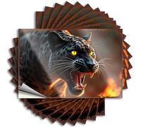 Funny Bumper Stickers for Adults Roaring Black Panther: Wild Strength in Every Growl Stickers 10Pcs Sign Decor Car Stickers Funny(8X12CM)
