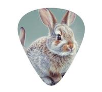 Funny Bunny Rabbit Print Guitar Picks 12-Pack - Assorted Thickness Picks (0.46mm, 0.71mm, 0.96mm) with Storage Box & Assorted Unique Design for Acoustic, Electric, Bass, and Ukulele Players