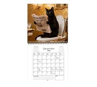 Funny Calendar 2026 - Monthly Blocks with Lines - 2026 Wall Calendar Cats Decoration Planner | For Office School Planning Organisation Appointment Plan Work New Year Christmas Party