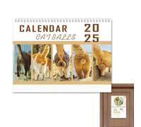 Funny Calendar, Cute Calendar 2025, Funny Cat Ball Monthly Planner, Vertical Calendar 2025, Family Calendar Planner for Kids and Adults