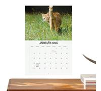 Funny Calendar | Monthly Hilarious Butt Hole Art Planner - 2026 Cat Balls Calendar,for Kids Women Adults Kitten Lover Wall Daily Time Tracking