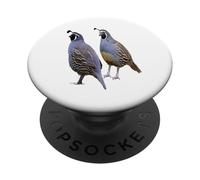 Funny California Quail Vintage Bird Lover Graphics PopSockets Adhesive PopGrip
