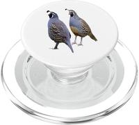 Funny California Quail Vintage Bird Lover Graphics PopSockets PopGrip for MagSafe