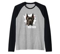 Funny Cane Corso Dog Humor I Heard You Raglan Baseball Tee