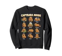 Funny Capybara Moods Cute Chart Chill Zen Animal Art Sweatshirt