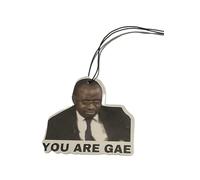 Funny Car Air Freshener, You Are Gae Meme, Novelty Prank Joke Gift