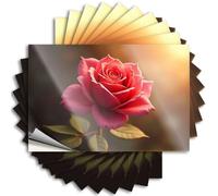 Funny Car Decals A Beautiful Red Rose Illuminated by Sunlight Sticker 10Pcs Stickers for Car Biker Helmet Stickers(8X12CM)