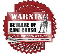 Funny Car Decals Beware of Cane Corso Funny Sticker 10 Pcs Bumper Sticker Sarcastic Signs(6X9CM)