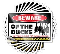 Funny Car Decals Beware of Duck Funny Sticker 10 Pcs Car Window Stickers Funny Sogns(6X9CM)